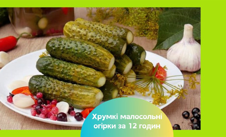 Хрумкі малосольні огірки усього за 12 годин, які точно вийдуть у кожної господині — рецепт