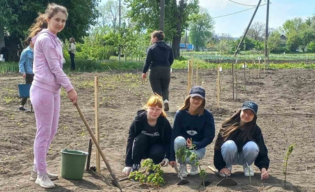 «Шкільні Сади Перемоги». Як учні Городоччини виборюють сучасну лабораторію для своєї школи