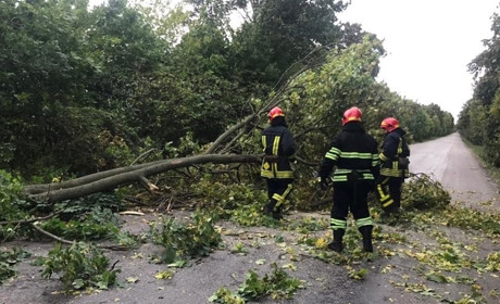 На Уманщині рятувальники ліквідовують наслідки негоди