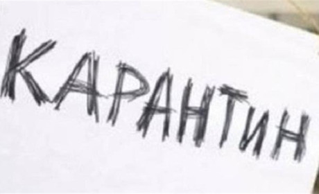 Чи піде на карантин Новоград