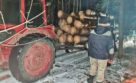 Поблизу села Жовкині поліцейські затримали трактор з незаконним лісом