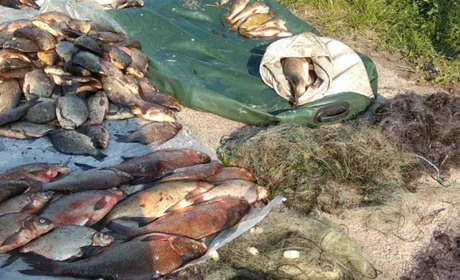 Наловили риби на майже 500 тис. грн. На Чернігівщині затримали браконьєрів