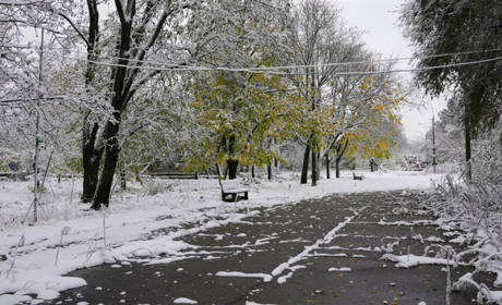 Перекриті дороги, перебої з електрикою: на Херсонщині вирує негода