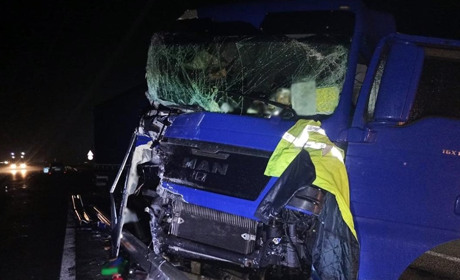 Поблизу Звягеля зіткнулися дві вантажівки – один з водіїв госпіталізований