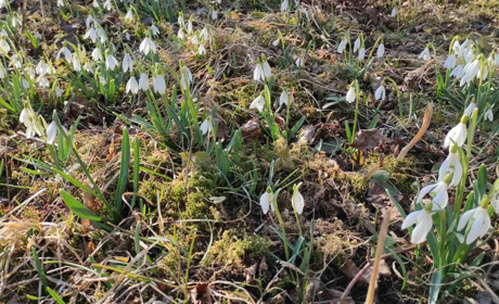 Погода в Старокостянтинові на 14-20 березня: очікуємо потепління