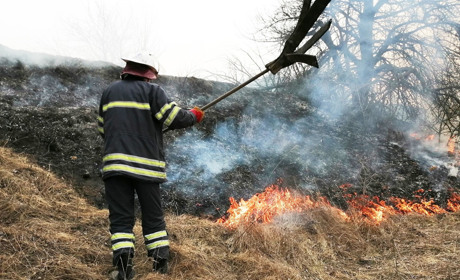 Паліям трави та лісу  доведться розкошелитися: штрафи збільшили у 18 разів