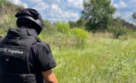 На Звягельщині на приватній присадибній ділянці знайшли три артилерійських снаряди та мінометну міну
