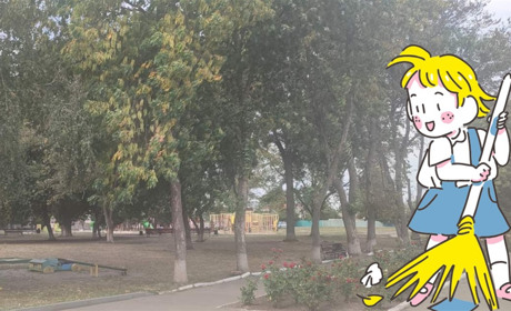 Акція «За чисте довкілля» — наталинців закликають навести лад і нагадують про штрафи