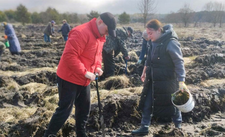Дерева для майбутнього: як Студениківська громада відновлює зелені легені Переяславщини
