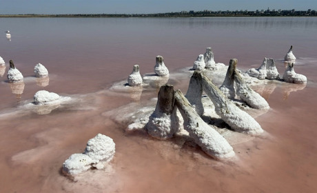 На Одещині завершують будівництво потужного солезаводу: буде 15 тис тонн солі на місяць
