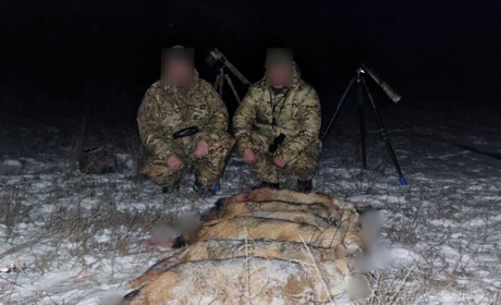 Біля Овідіополя мисливці незаконно застрелили 14 хижаків: відкрили кримінальну справу