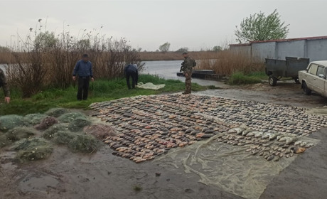 На Херсонщині затримали браконьєрів, які незаконно виловили 500 кг риби