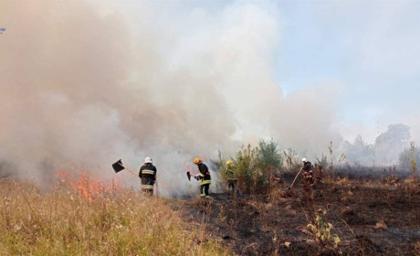 На Звягельщині вогнеборці гасили загоряння: в області упродовж доби сталося 16 пожеж