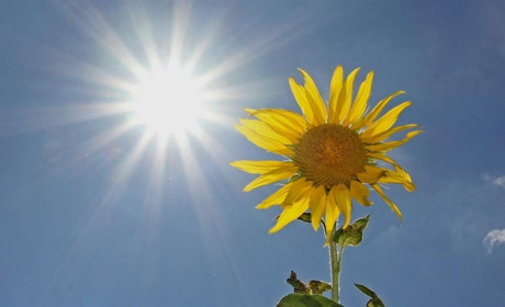 Якої погоди очікувати жителям Білопільщини на вихідних: прогноз на 20-22 травня