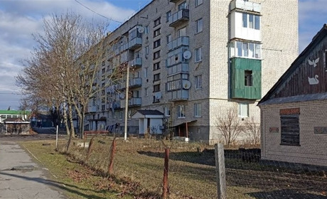 Викидав рештки тварин з вікна: на Звягельщині чоловіка підозрюють у вбивстві кішок та собак