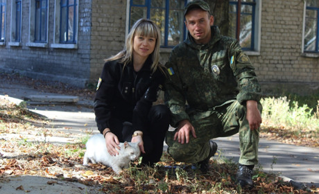 «Он так жалобно кричал»: в Попасной спасли бездомного кота 