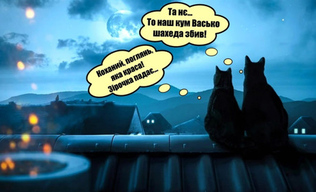 Весна за вікном і на термометрі: що прогнозують синоптики найближчими днями