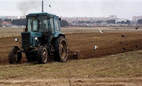 Як на Херсонщині обходять мораторій на землю