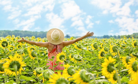 Спеки не прогнозують: якою буде погода у Сватовому і районі з 5 по 11 серпня