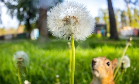 Короткочасні дощі та до плюс 26: що говорять синоптики про погоду на Сумщині та в Україні