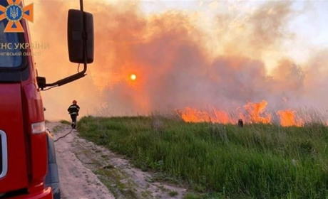 На Чернігівщині під час пожежі сухої трави загинула людина