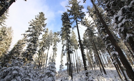 Погода у Нетішині та в області на 9 лютого