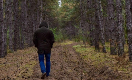 Запрошуємо на фотопрогулянку чарівним лісом
