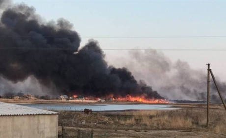 На Херсонщині горять ліси та плавні: екологи б'ють на сполох, а в Сальдо все іде за планом
