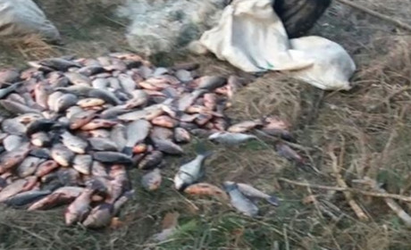 Майже 37 кілограм риби вночі незаконно виловили в Антонівському водосховищі