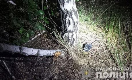 В аварії на Сарненщині травмувався водій і пасажир