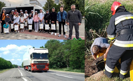 У сусідів: суд за ухилення, корова з болота, фури в спеку, мільйони податків і діти в Австрії