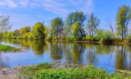 У липні хімічний склад річки в регіоні розташування РАЕС відповідав еконормам