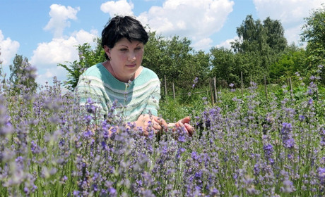 «Мій маленький Прованс». Олена Замула зі Слоута про секрети вирощування лаванди на півночі Сумщини