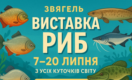Вперше у Звягелі: пориньте у дивовижний підводний світ