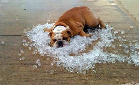 Як довго Білопільщина потерпатиме від спеки? Прогноз погоди