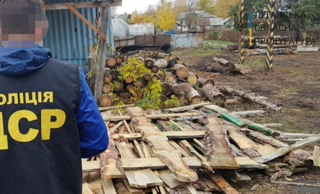 У Сватівському лісництві обшуки. Розслідують причетність посадовців до незаконного продажу деревини