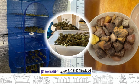 Варашанина підозрюють у збуті наркотиків. Що знайшли правоохоронці під час обшуку?