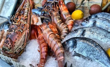 Доставка рыбы и морепродуктов в Киеве