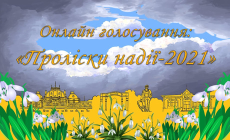 Онлайн голосування: конкурс «Проліски надії» у Жмеринській громаді – обирайте найкращих