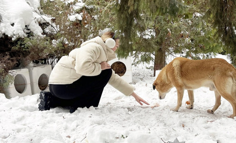 Офіцери Служби Освітньої Безпеки, кінологи та школярі об'єднались в допомозі бездомним тваринам