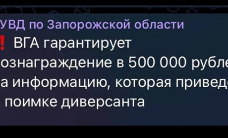 В Бердянську окупанти ходять по домівках та влаштовують тотальні обшуки