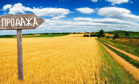 Купля-продажа земельного пая: Что нужно знать?