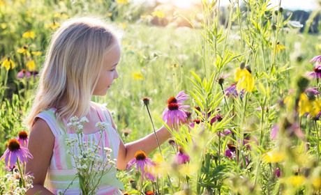 Якою буде погода у Сватовому і районі у перший тиждень червня