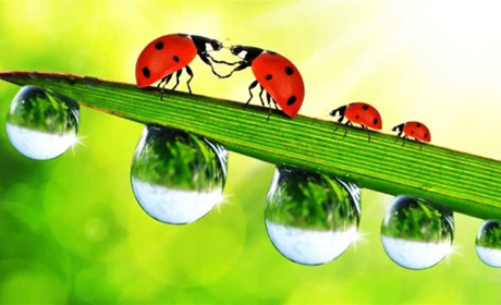 Найближчими днями в області трохи дощитиме: прогноз погоди