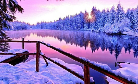 Погода на Сумщині та в Україні на початку наступного тижня: що обіцяють синоптики