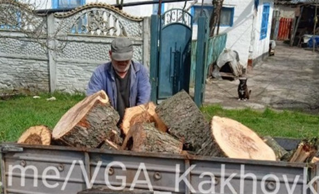 Окупанти випилюють лісонасадження у Каховському районі