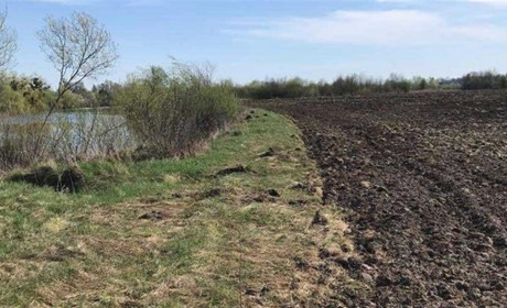 У Сарненському районі оштрафували землероба, який зайняв територію біля річки