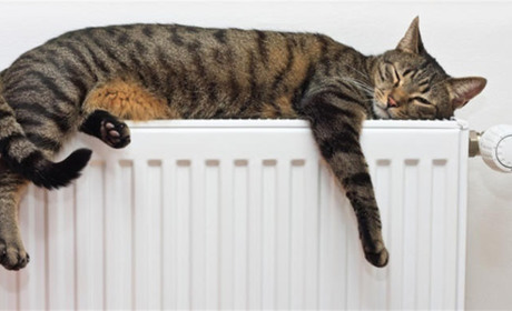 В Україну йде похолодання: чого чекати від погоди жителям Білопільщини