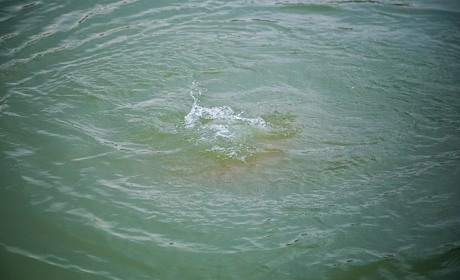 На воде гибнут дети и взрослые – субботний день добавил 2 случая в печальную статистику