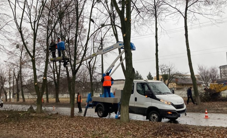 На Героїв Дніпра у Переяславі комунальники обрізають дерева: у ВУКГ пояснили причини